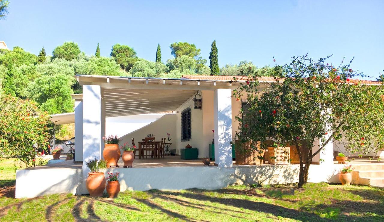 Olive Bay Beach House Αμμουλιανή Εξωτερικό φωτογραφία