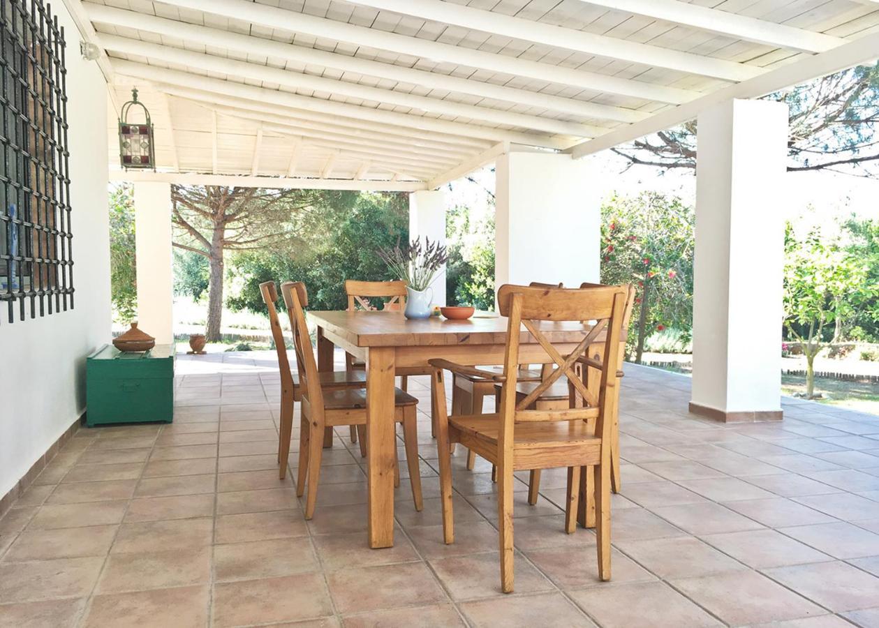 Olive Bay Beach House Αμμουλιανή Εξωτερικό φωτογραφία